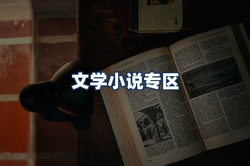 文学小说PDF展示